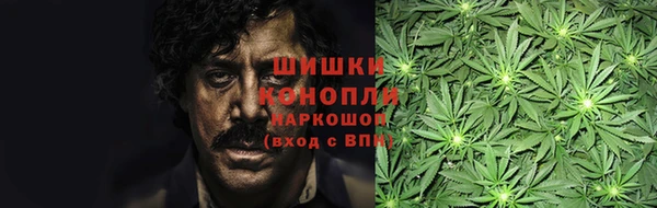 стаф Тихвин