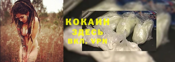 стаф Тихвин