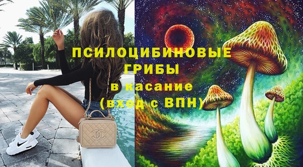 стаф Тихвин