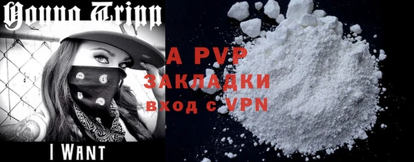 стаф Тихвин