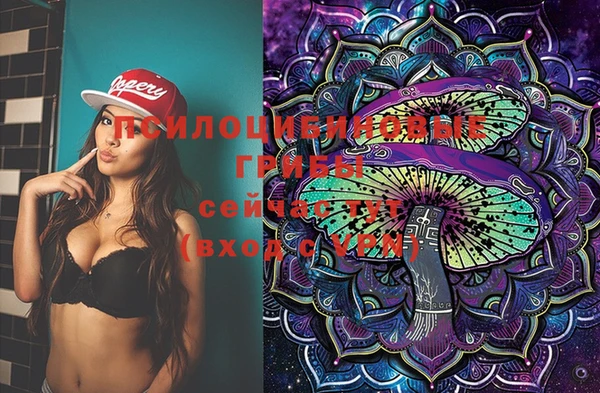 стаф Тихвин