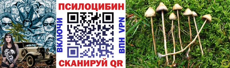 Псилоцибиновые грибы Magic Shrooms Бронницы
